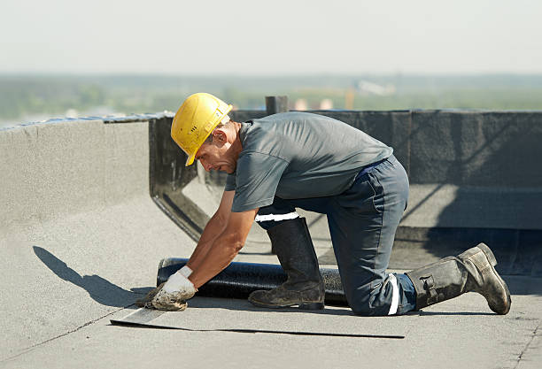 Best Insulation Installation Services in Hartington, NE